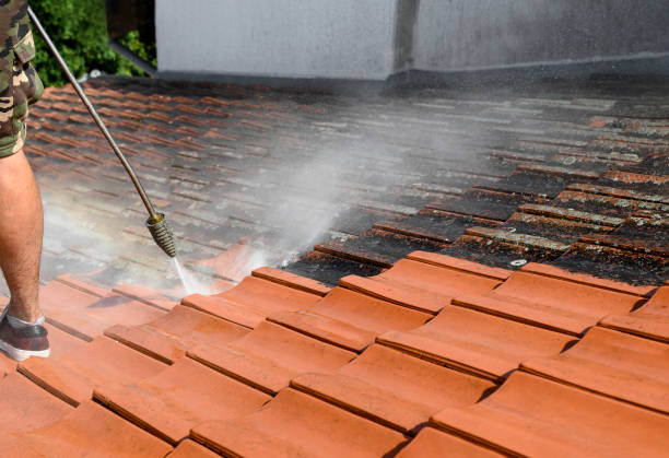 Best Roof Pressure Washing  in West Palm Beach, FL